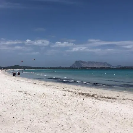 Apartment In Villaggio, A 150mt Dal Mare San Teodoro (Sardinia)