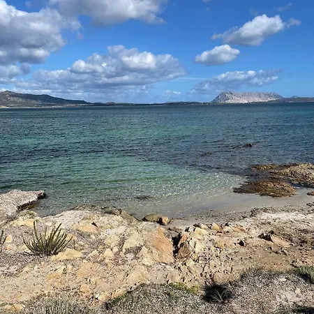 Apartment In Villaggio, A 150mt Dal Mare *